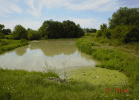 /album/fotogaleria-fotogaleria/image15520687-gif/