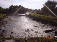 /album/fotogaleria-fotogaleria/image15552078-gif/
