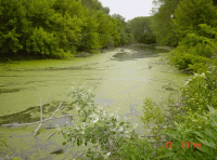 /album/fotogaleria-fotogaleria/image16813796-gif/