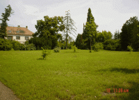 /album/fotogaleria-fotogaleria/image17463640-gif/