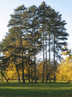 /album/fotogaleria-fotogaleria/image17621031-gif/