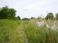 /album/fotogaleria-fotogaleria/image18279890-gif/