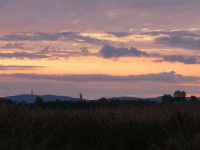 /album/fotogaleria-fotogaleria/image25828421-gif/