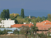 /album/fotogaleria-fotogaleria/image25836515-gif/