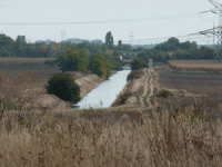 /album/fotogaleria-fotogaleria/image25853687-gif/