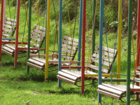 /album/fotogaleria-fotogaleria/image25865625-gif/
