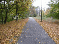 /album/fotogaleria-fotogaleria/image26197500-gif/