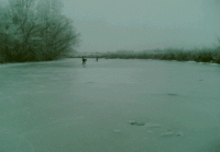 /album/fotogaleria-fotogaleria/image3702125-gif/