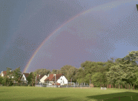 /album/fotogaleria-fotogaleria/image3766375-gif/