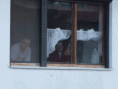 /album/fasiangy-dorejaras-/image6031343-gif/